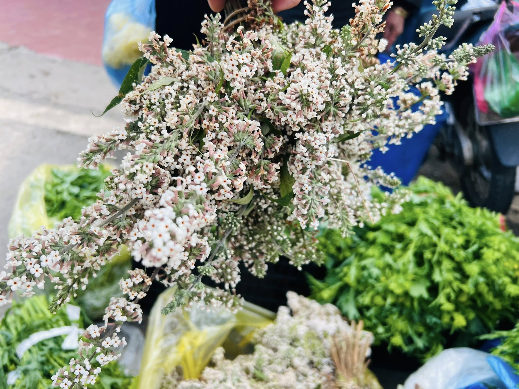 Những món ăn dân dã nóng hổi phục vụ du khách và người đi chợ