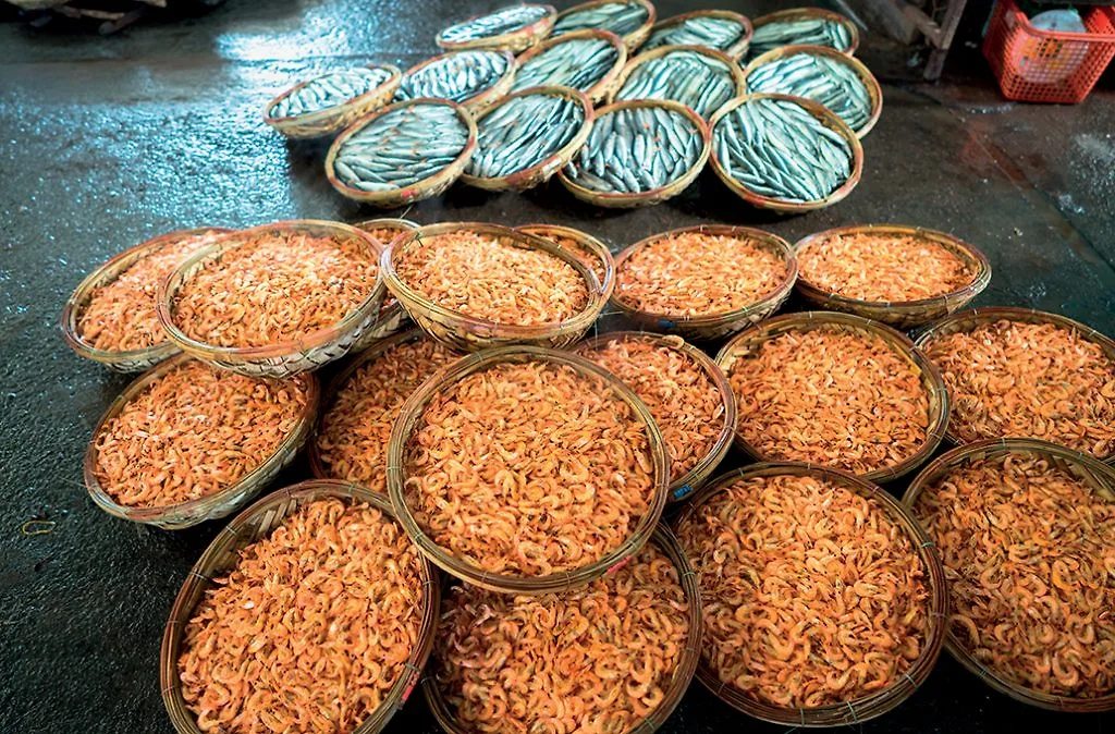 Du khách trải nghiệm lặn ngắm san hô tại khu vực biển Nhơn Lý