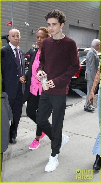 Soft boy và Timothée Chalamet