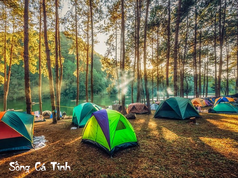 Cắm trại gia đình ngoài trời