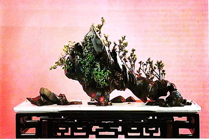 Một công thức nhiều ngữ cảnh