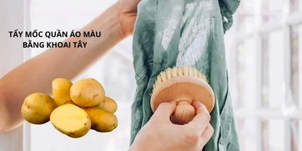 Nhiều cách tẩy mốc tại nhà có thể áp dụng tùy theo loại vải và mức độ bám mốc