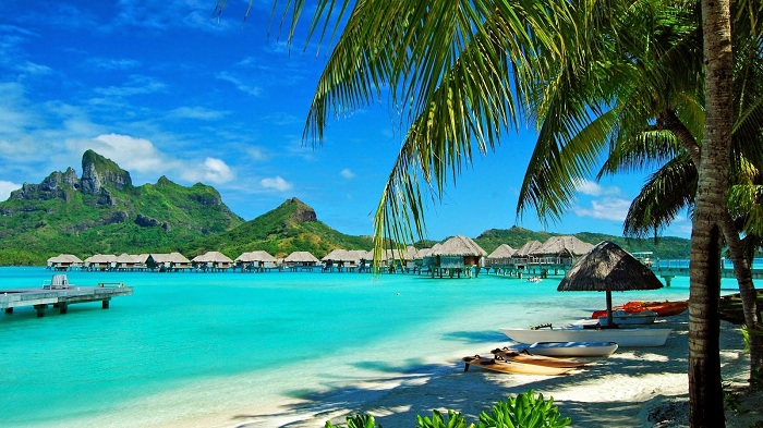 Tour đảo Phú Quốc với trải nghiệm biển và lặn ngắm san hô