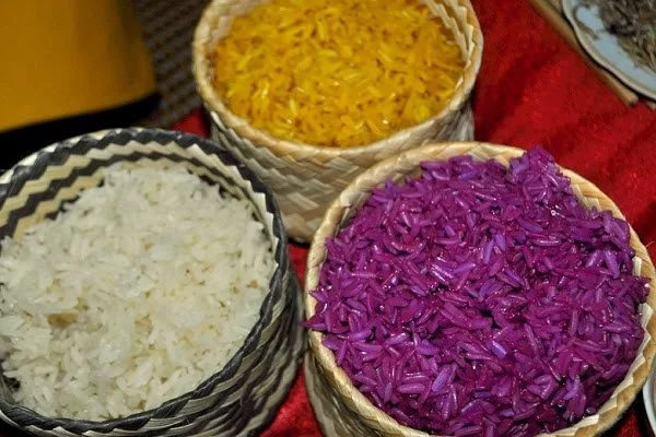 Hạt nếp đồ xôi to căng bóng, dẻo thơm từ thung lũng Tú Lệ