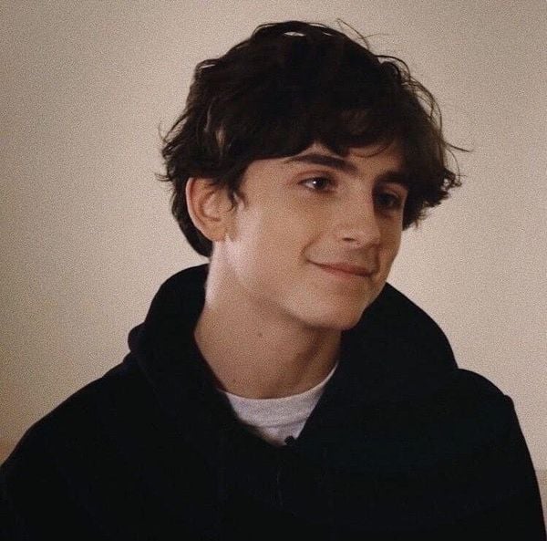 Soft boy dễ liên tưởng đến những gương mặt như Timothée Chalamet