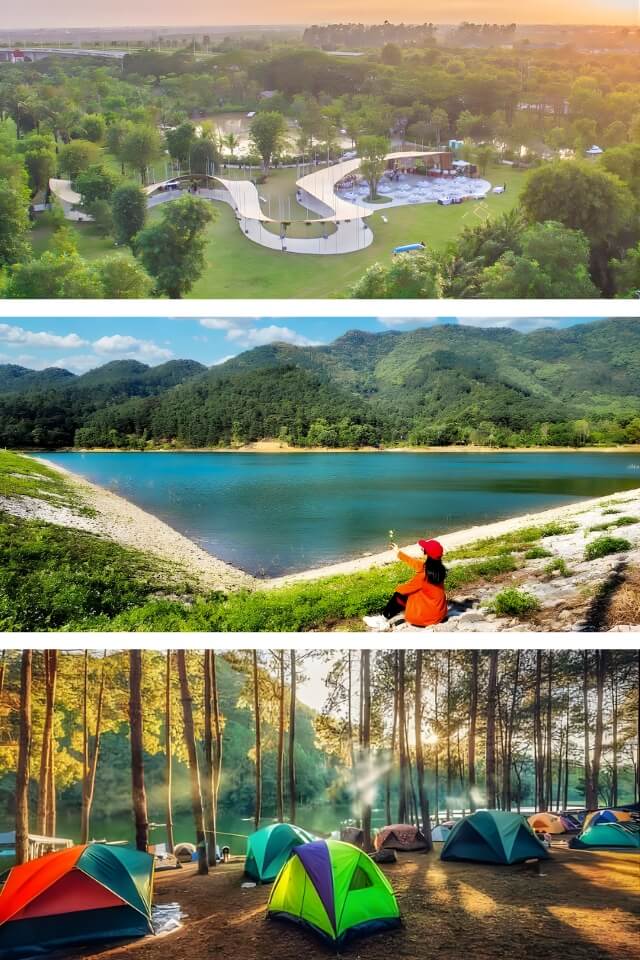 Rừng đêm yên tĩnh