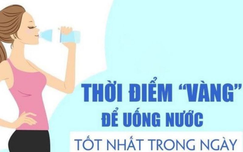Lịch uống nước trong ngày