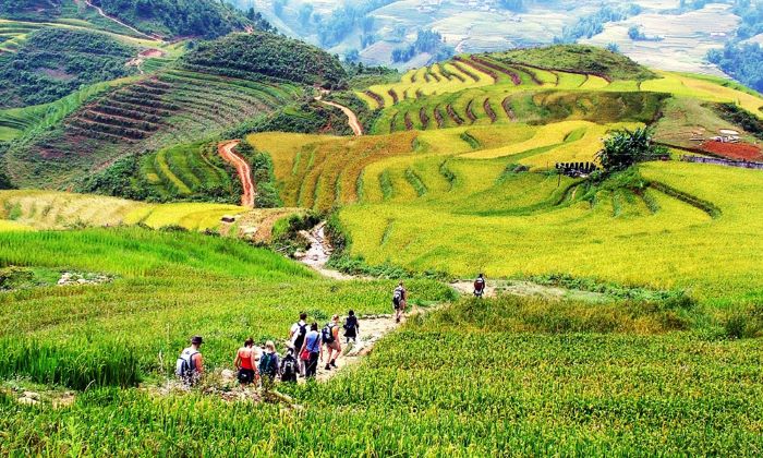 Thung lũng Mường Hoa với ruộng bậc thang và cảnh sắc giao mùa ở Sapa