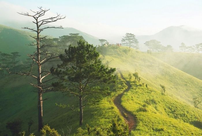 Cung trekking và đường tiếp cận Tà Năng - Phan Dũng với cảnh núi đồi xanh rộng