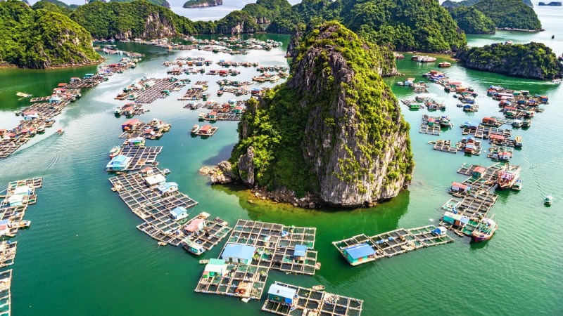 Những nếp nhà bè mộc mạc tại làng chài cổ Cái Bèo ven bờ vịnh