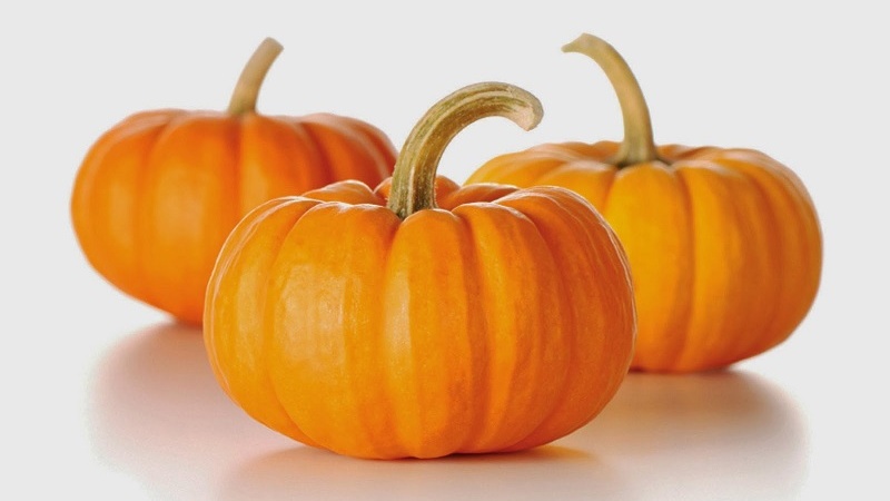 Bí và dinh dưỡng tự nhiên