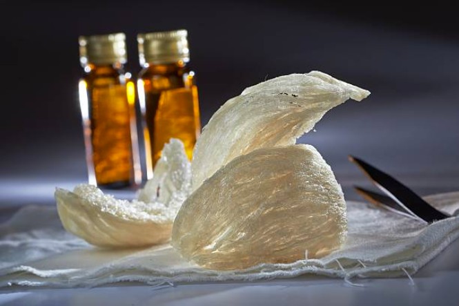 Những lợi ích của tổ yến