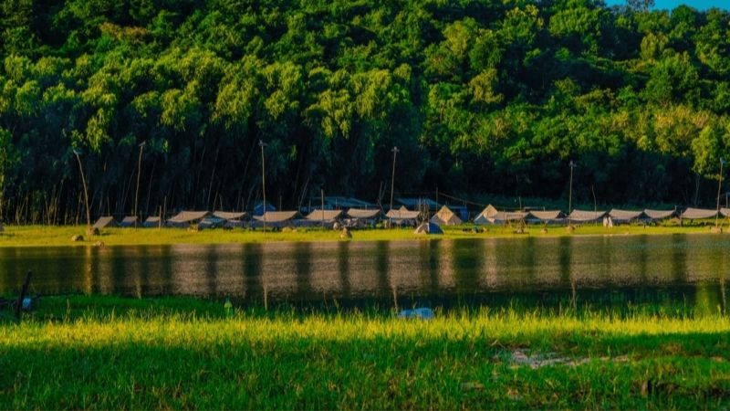 Không gian cắm trại thoáng đãng rợp bóng mát tại Bãi Cây Bàng ven bờ hồ Dầu Tiếng