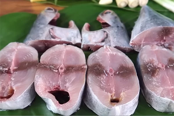 Nguồn dinh dưỡng dồi dào từ cá ngừ đại dương