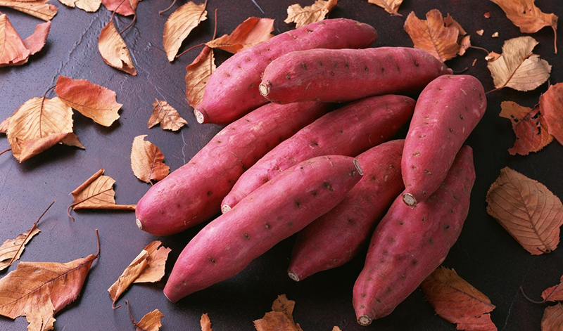 Khoai lang vàng giàu beta-carotene