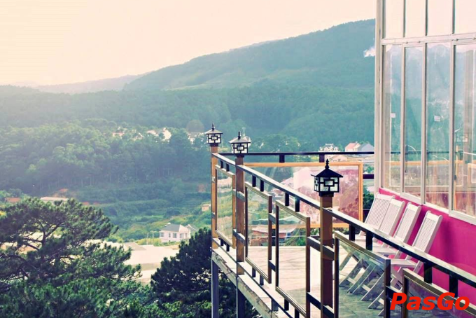 View rừng thông thoáng đãng và đồi hoa mua tím tại nhà hàng Trên Đỉnh Đồi Trăng
