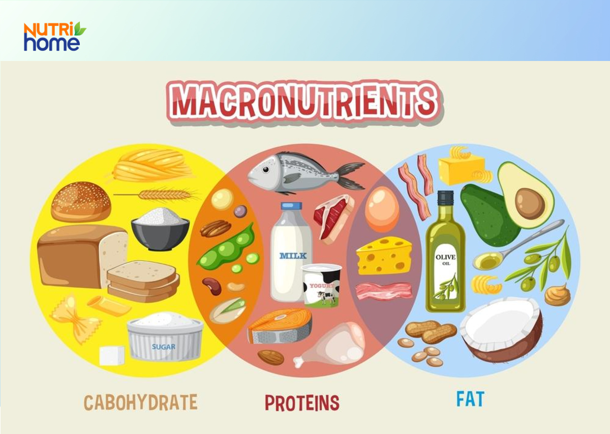 Các nhóm chất đa lượng trong thực đơn eat clean