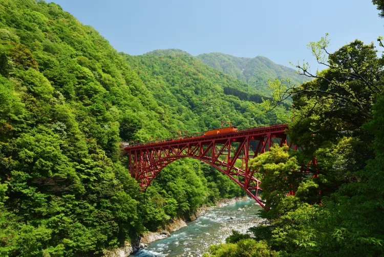 Tuyến đường tuyết Tateyama Kurobe Alpine Route kỳ vĩ