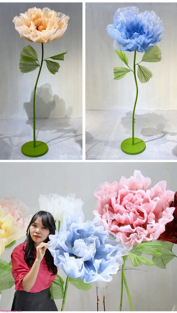 Chi tiết hoa nhí voan mềm mại