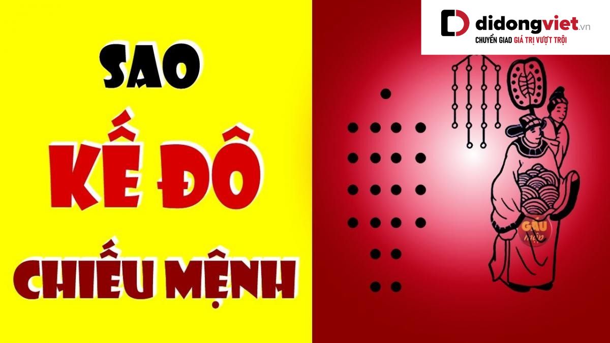 Đọc sao kê dư nợ