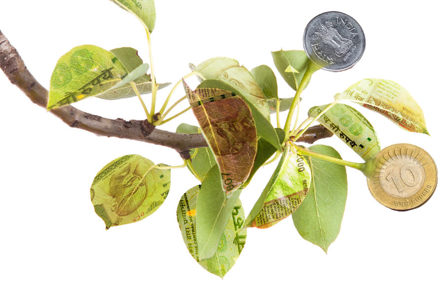 Sơ đồ minh họa quy trình phát hành trái phiếu xanh theo chuẩn ICMA và các dự án được tài trợ