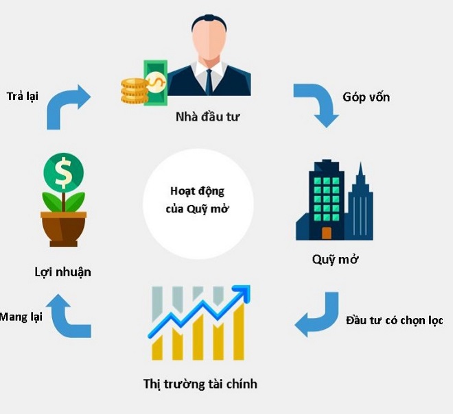So sánh quỹ và cổ phiếu