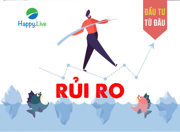 Minh họa rủi ro quỹ