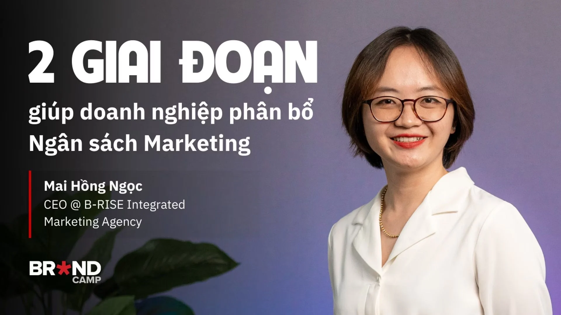 Sơ đồ phân bổ tỷ lệ ngân sách marketing qua các kênh cho doanh nghiệp tài chính