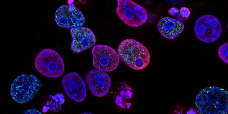 Nữ sinh làm thí nghiệm trong phòng lab
