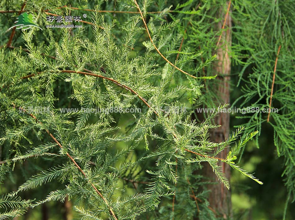 Thách thức và giải pháp STEM