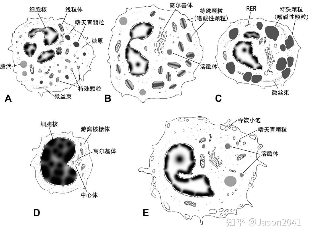 Biểu đồ mô phỏng đường cong ngữ điệu