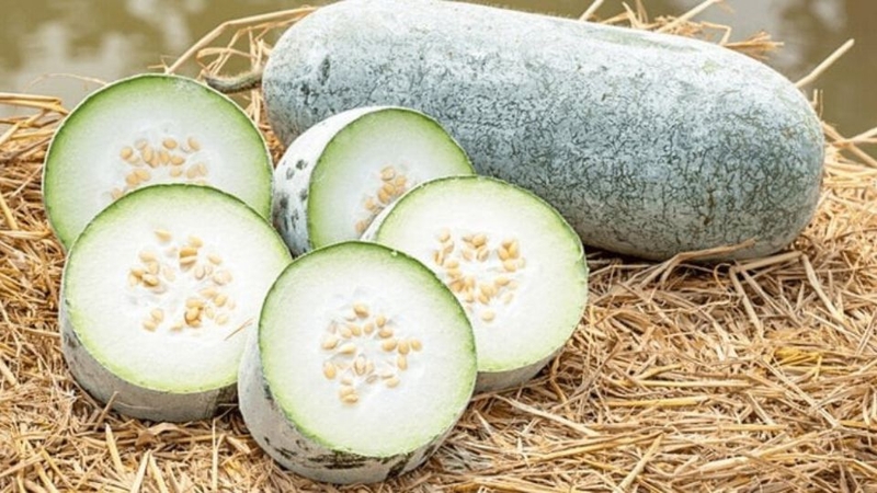 Bí đao (Bí xanh)