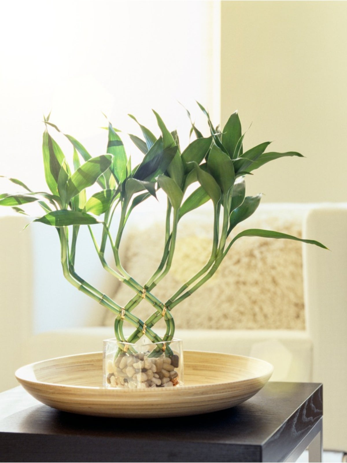 Các loại vật liệu mùa đông
