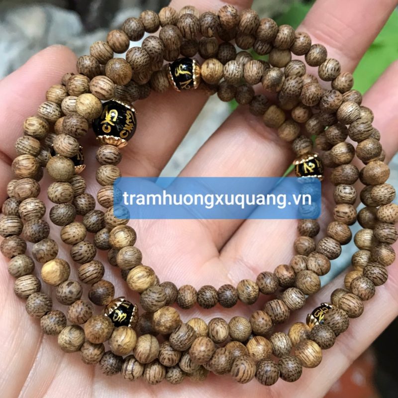 Người xem sơ đồ hướng nhà