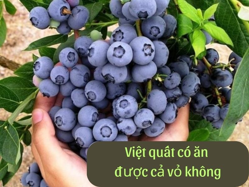 Hộp quà ăn được