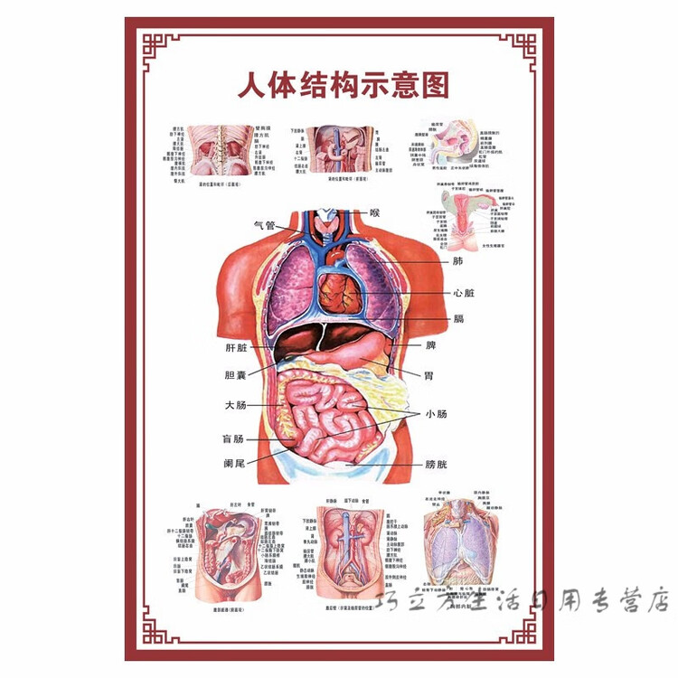 Nhân viên nhà hàng phục vụ thực khách