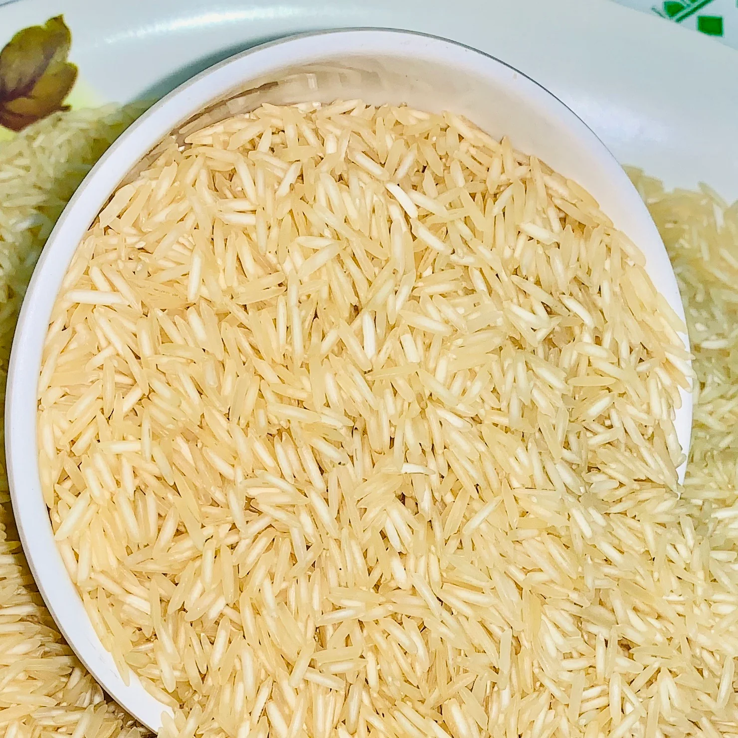 Cây xanh trang trí phòng khách