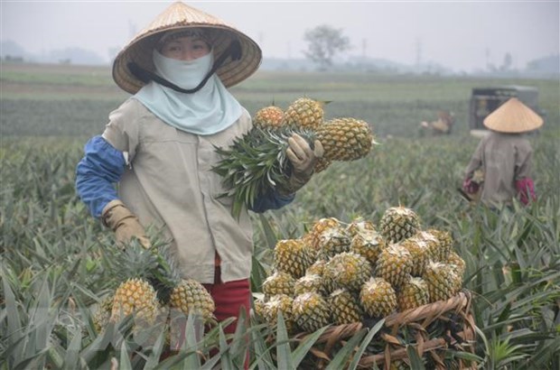 Thanh toán khi nhận hàng