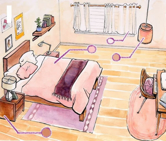 Cây xanh trong nhà thiếu sáng