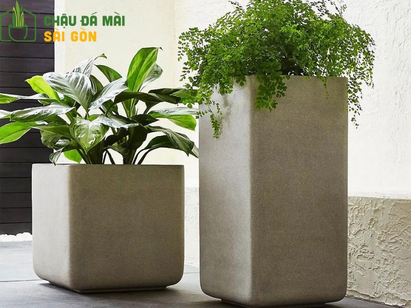Cây xanh và trang trí mùa xuân tăng giá trị cảm xúc