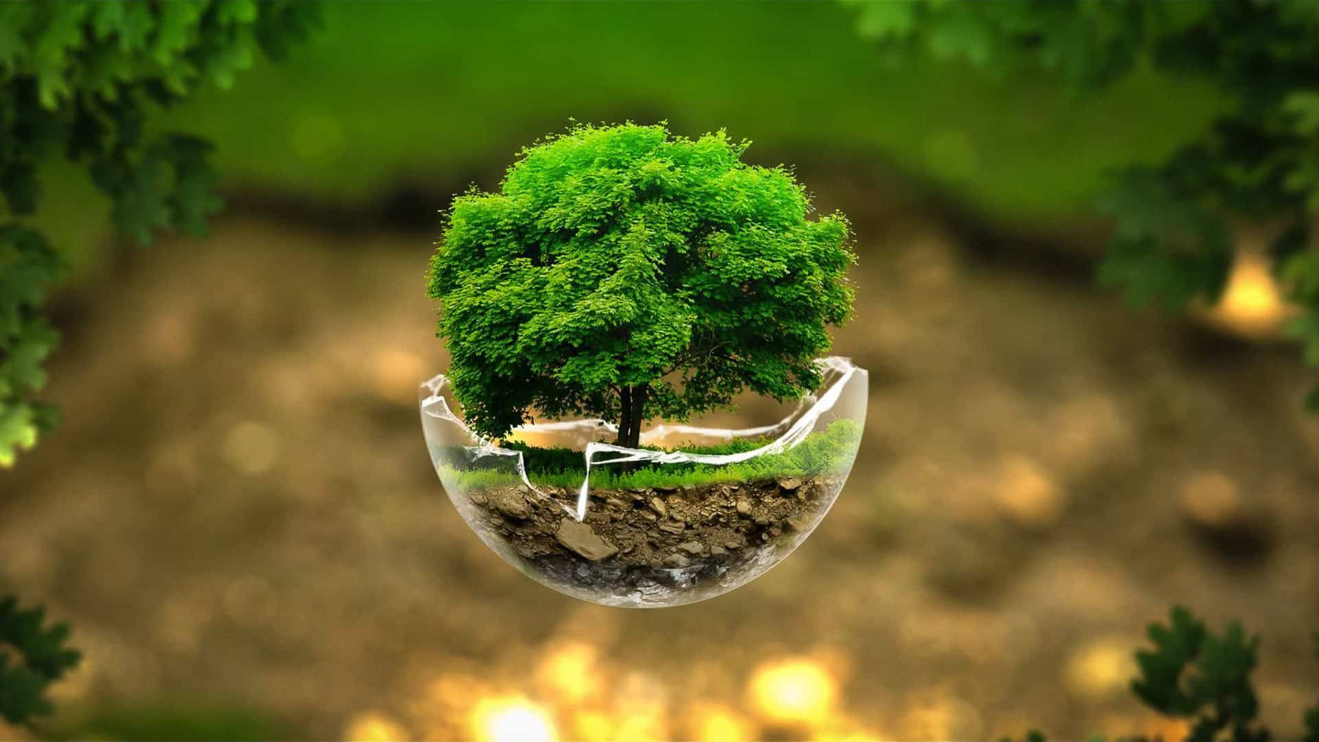 Phối đồ công sở nữ thanh lịch