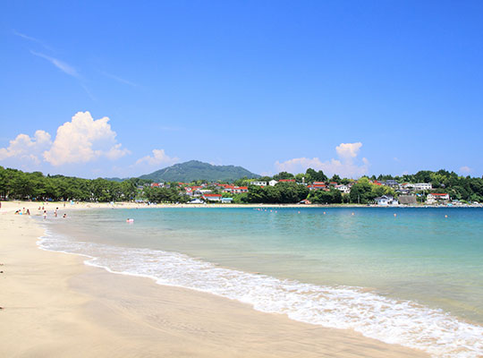 Trang phục công sở thanh lịch