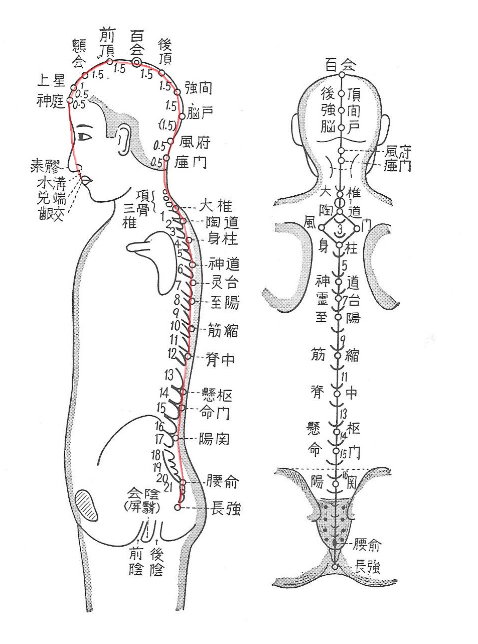 Áo bơi tôn dáng đồng hồ cát