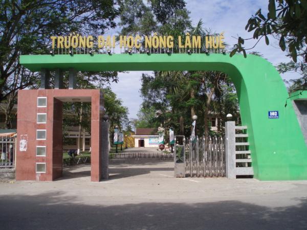 Váy liền công sở thanh lịch