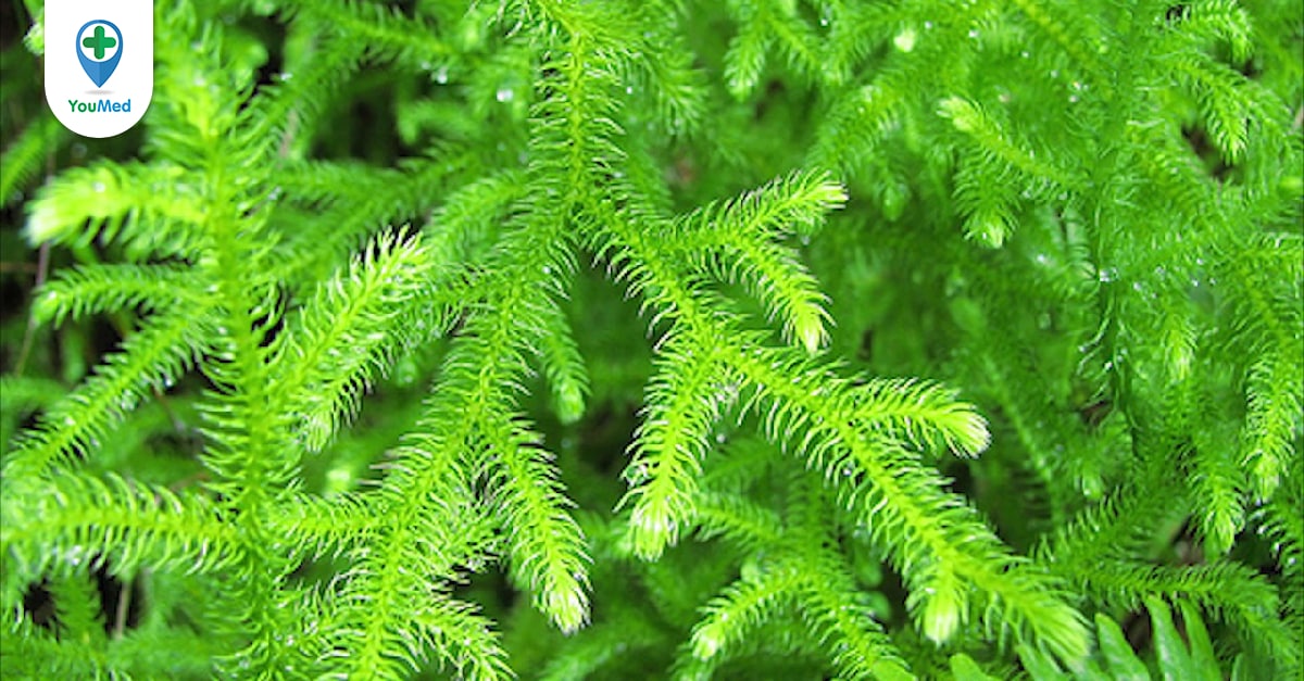 Khoảng thở trước nhà