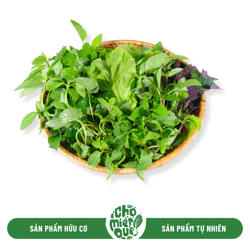Diếp cá và húng quế