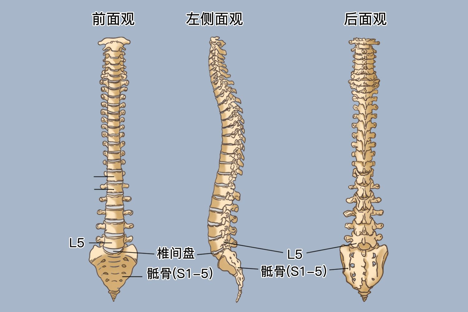 Sơ mi và quần tây thanh lịch