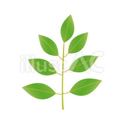 Người đang chọn lựa đơn giản