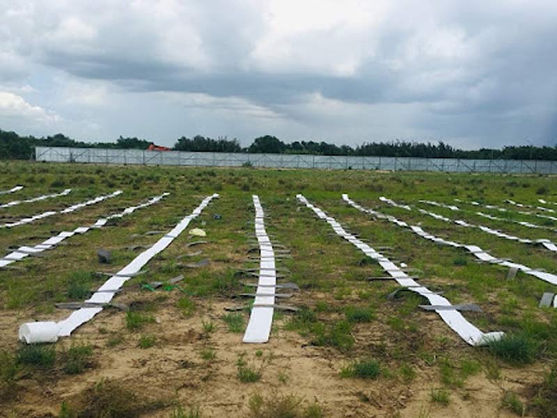 Cửa chính cân đối