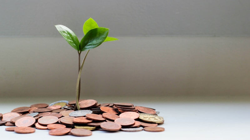 Lịch trả nợ và kế hoạch tài chính
